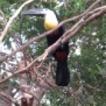 Profile picture of Arthas