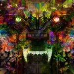 Profile picture of jaames24