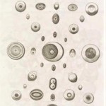 Profile picture of quakeroats